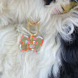 Party Pup Dog Tag