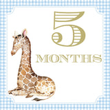 Watercolor Baby Boy Milestone Cards