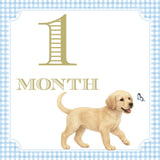 Watercolor Baby Boy Milestone Cards