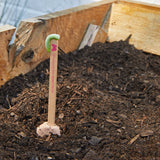 Plantable Wildflower Seed Pop Gift