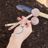 Plantable Wildflower Seed Pop Gift