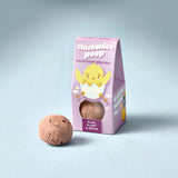 Easter Wildflower Plop Seed Ball | Modern Sprout