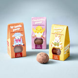 Easter Wildflower Plop Seed Ball | Modern Sprout