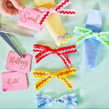 Multicolor Ric Rac Clip-On Bow Set (5 count)