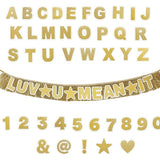Customizable Gold Fringe Reusable Party Banner