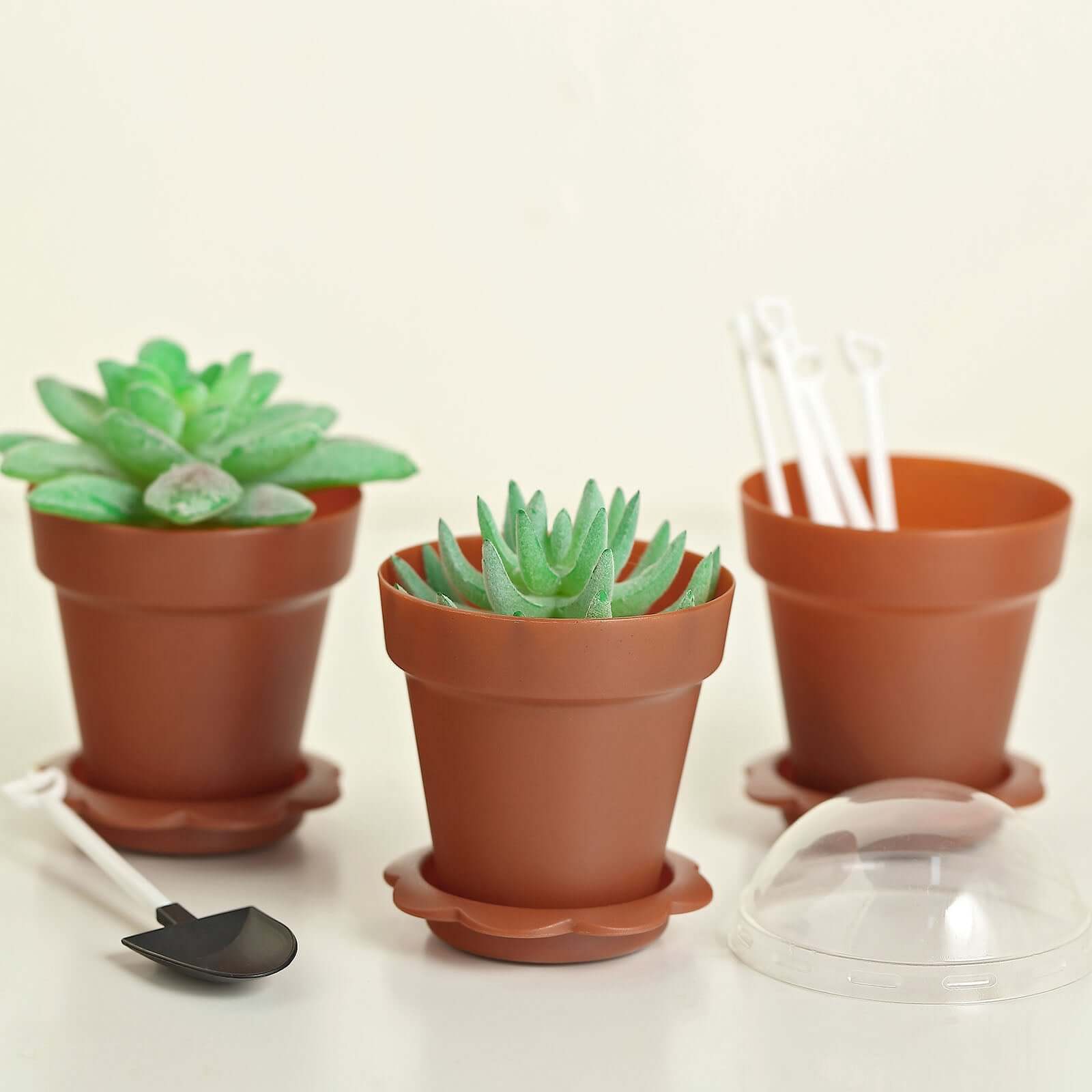 Succulent Planter Dessert Cups, Terracotta (12 Pack)