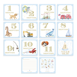 Watercolor Baby Boy Milestone Cards