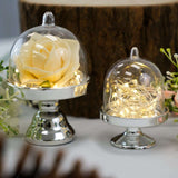 Fillable Pedestal Candy Containers, Silver (12 Pack)