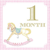 Pink Gingham Baby Girl Milestone Cards