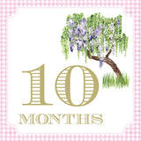 Pink Gingham Baby Girl Milestone Cards