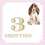 Pink Gingham Baby Girl Milestone Cards