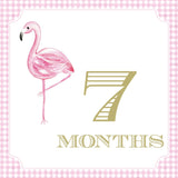 Pink Gingham Baby Girl Milestone Cards