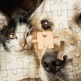 Turn Your Favorite Photo Into a Custom Puzzle